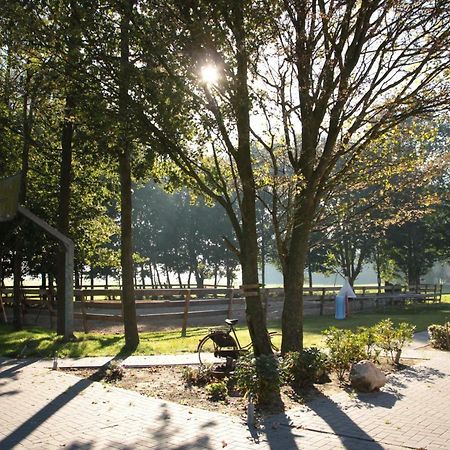 Hoeve Blitterswijk Scheerwolde 외부 사진