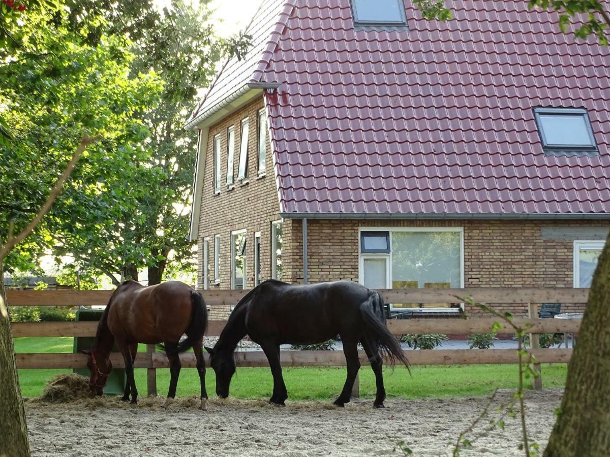 Hoeve Blitterswijk Scheerwolde 외부 사진